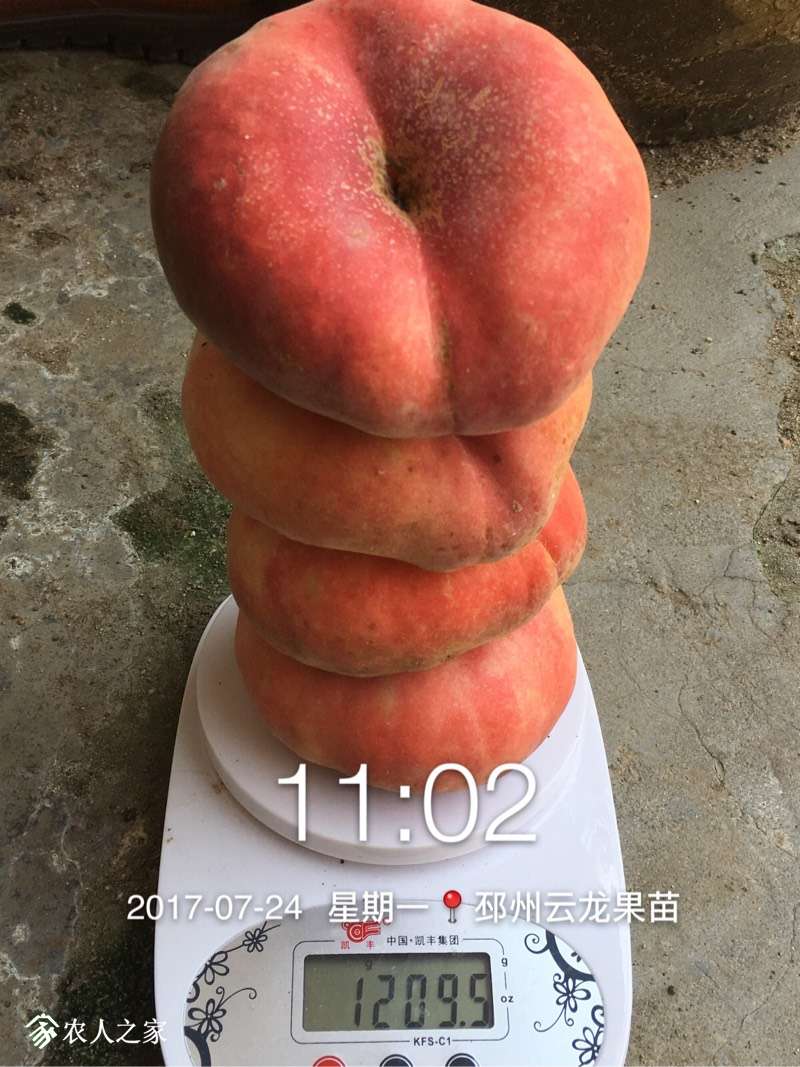 213357w6tw2ftjqyswfqmf.jpg