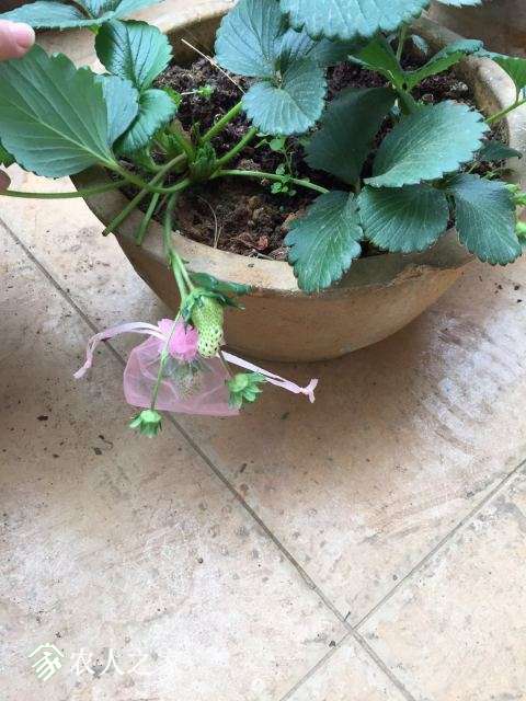 ¼