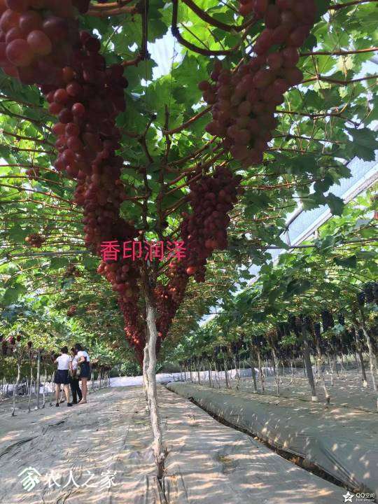 210422x13by8f5f8q24qe1.jpeg