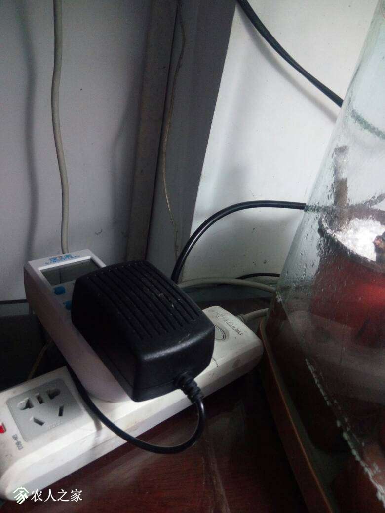 082858io09ovdffinkvyqg.jpg