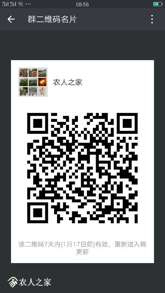 085816fcbpzlmlaoag7n7m.png