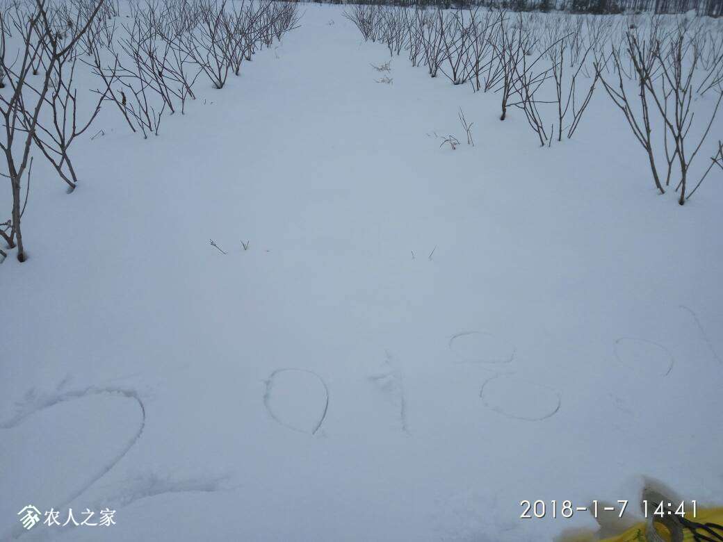 213436qrr0smbb5bs0ss0b.jpg