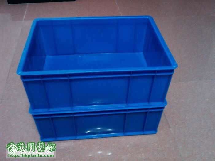 010353m8xdid84sxi8h82g.jpg