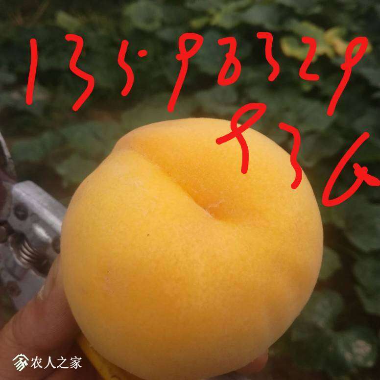 144343sowc29c9zo89c8uo.jpg