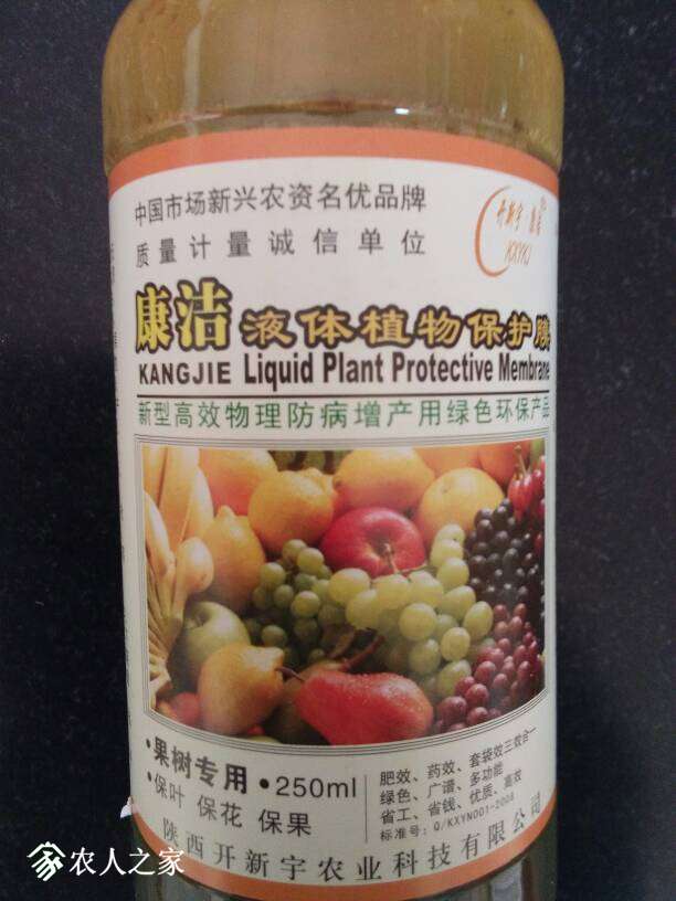 185259yfjdo2qq5qniq4sx.jpg