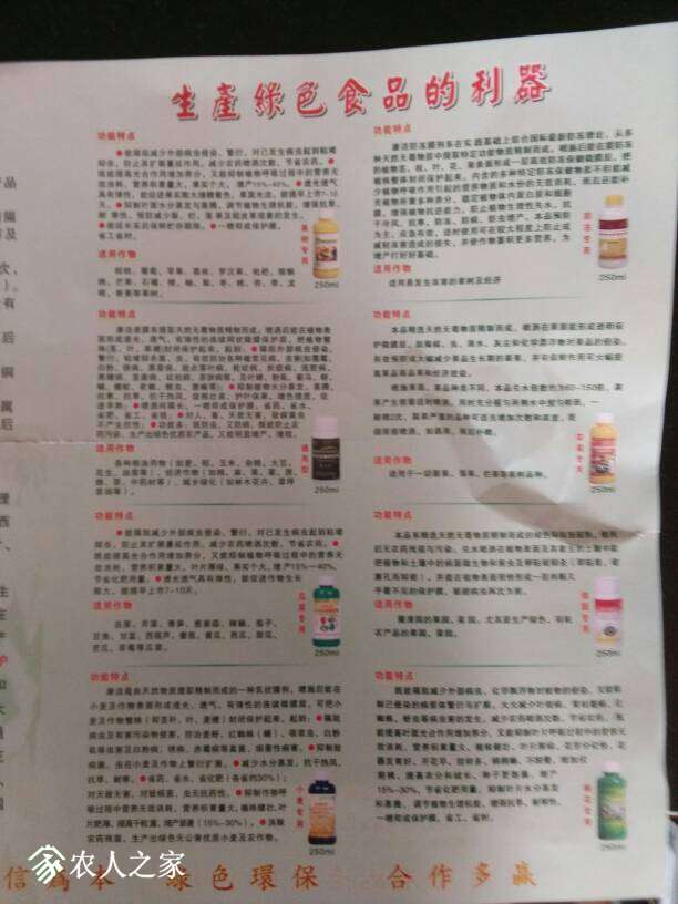 185411r4iz4dcc11dft96n.jpg