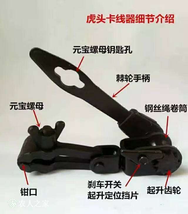 215738ftohgp9dz44otprp.jpg