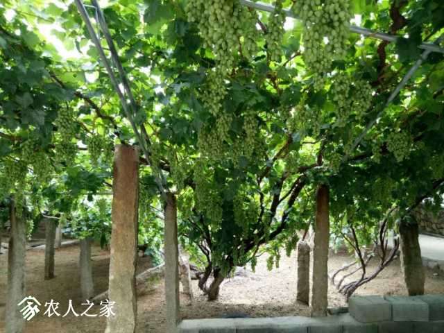 97ECA012-F254-4D11-8D8C-7D9B3EBB18B1-607-000000DA46E11D3C_tmp.jpg