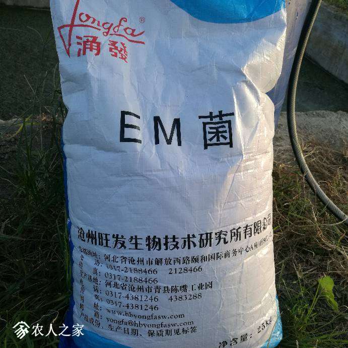 215540bgzyhao1g0t6z6so.jpg
