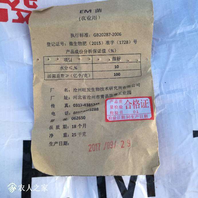 215540rulxhmi9mvvftwhm.jpg