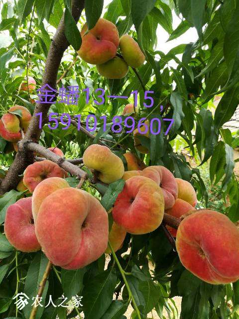 003408jac29zm0elcmcsi9.jpg