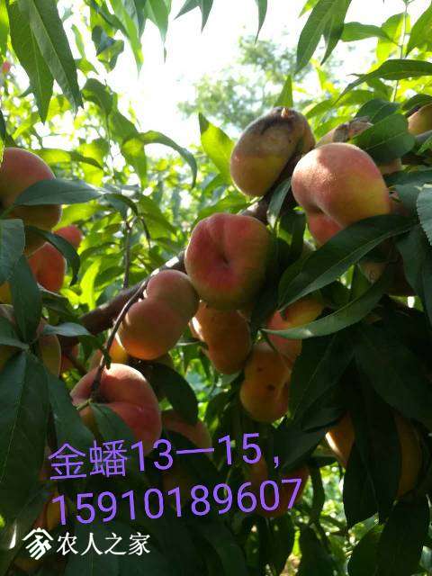 003408vmmijj9ijieiyz4j.jpg