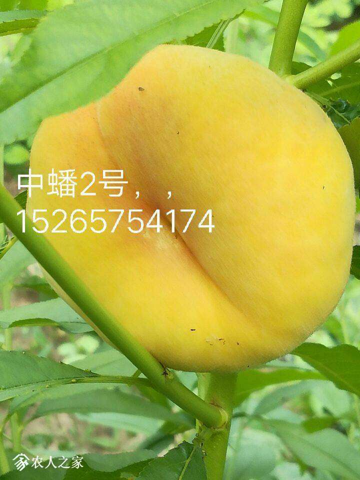 113446u1uutygeculv15g5.jpg
