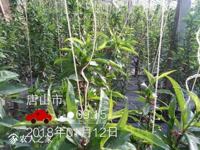 IMG_20180112_091554.jpg