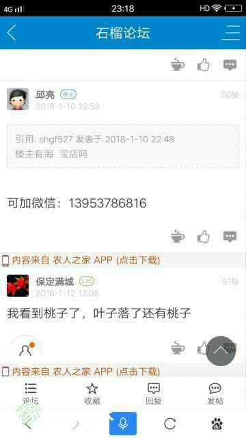 152212wnn49vuv8uye66vp.jpg