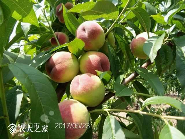 IMG_20170523_113204.jpg