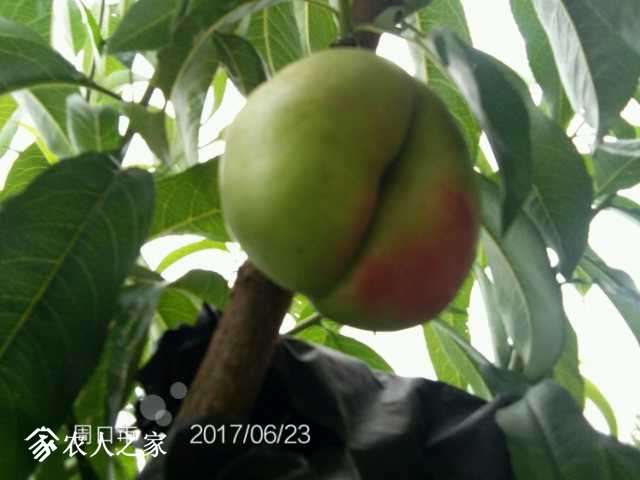 IMG_20170623_113704.jpg