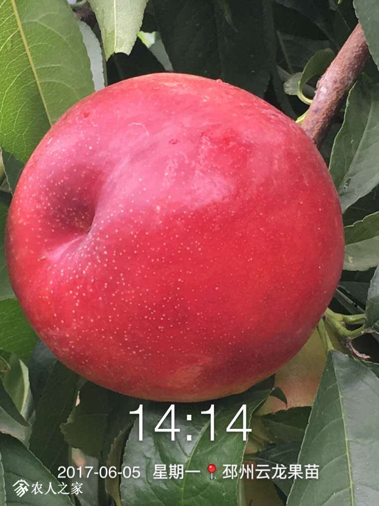 090037fapndeirkije33ep.jpg