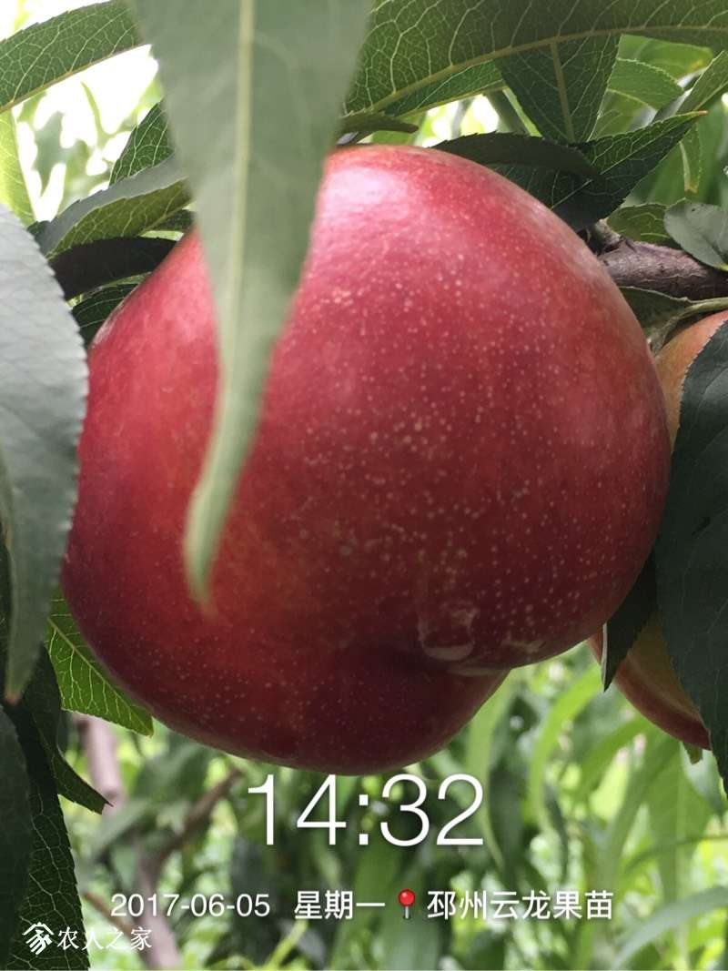 090037u23ptiblolf2tfap.jpg
