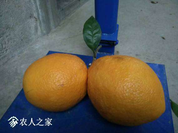 170503vlx6go11c5xcg6j1.jpeg