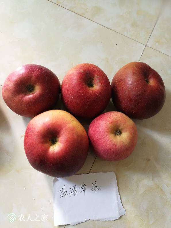 205713n456b8p0h53pg046.jpg
