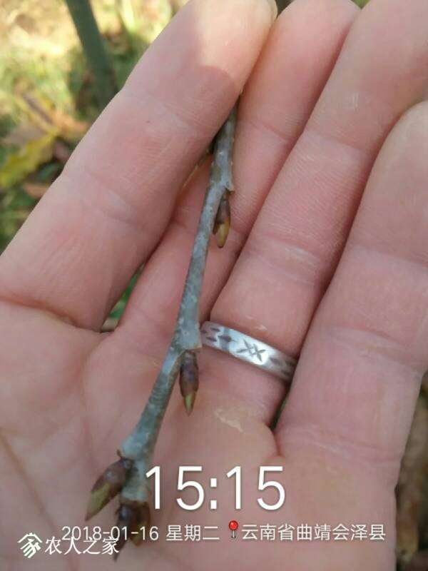 231010cr00juj00ha9u3rj.jpg