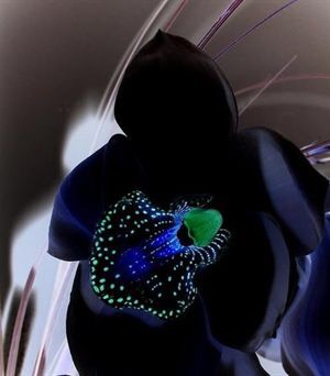 084208bj6363zrcfrz3z3f.jpg