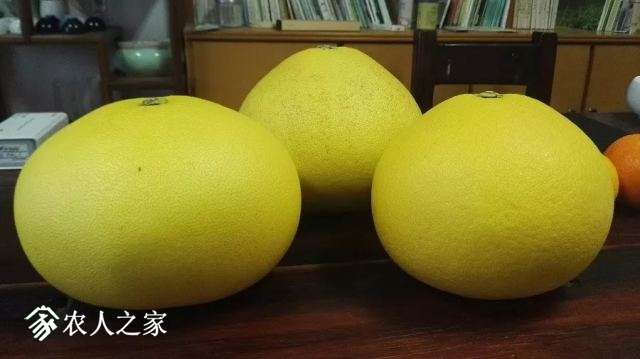 20180117_234257_025.jpg