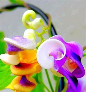 073947eun61ih3qvf0a030.jpg