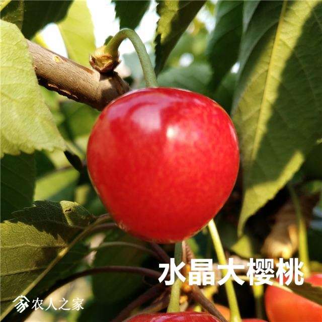 IMG_20170530_170450_����.jpg