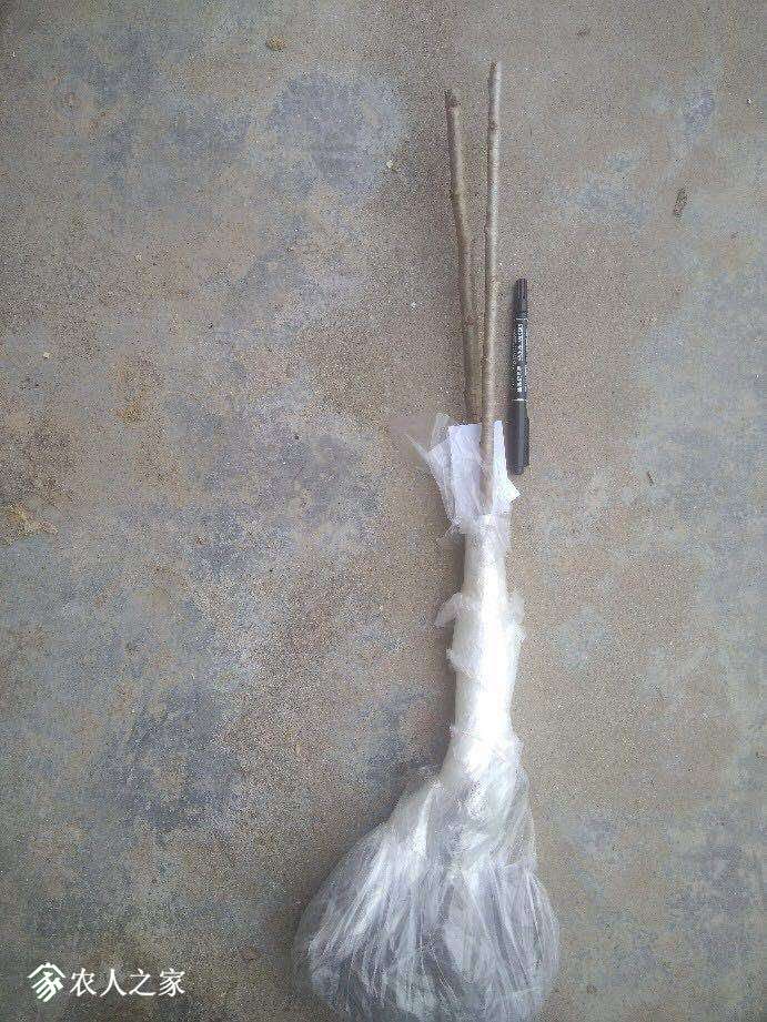 231738rlhvzfkio4cpyooy.jpg