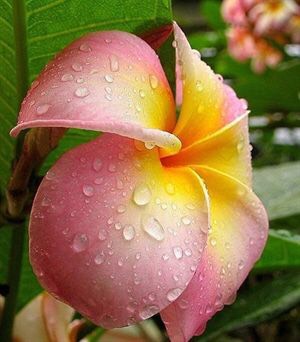 130204k30g9rrijs0lei0w.jpg