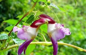 130434poylyo11e9olfoo9.jpg
