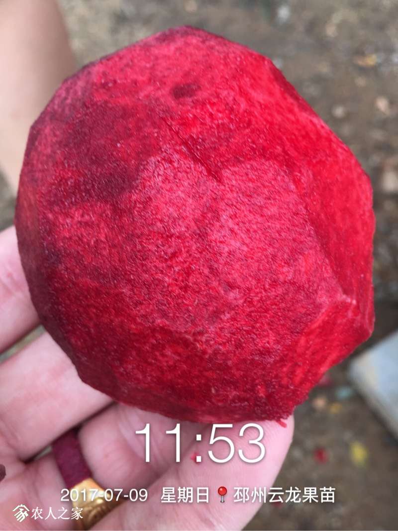 190422k270w1uw2g0220ju.jpg