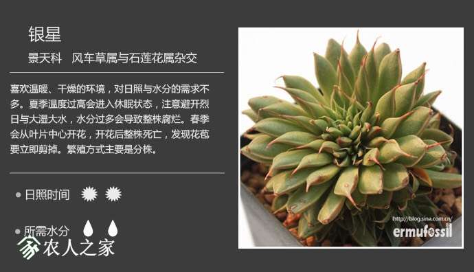 090825zqeku435kkuoqu4o.jpg