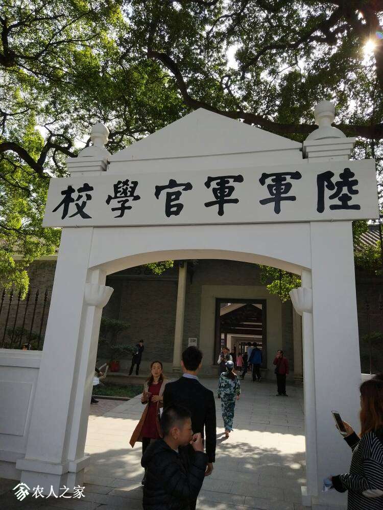 091600nldcdgnlldgjtxgg.jpg
