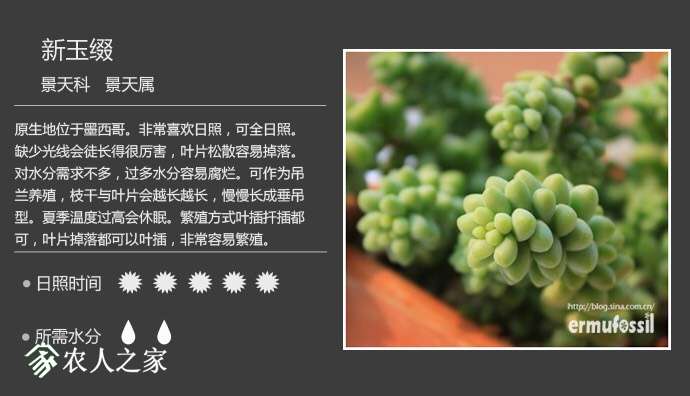092146xubem6d8bjuuj1u4.jpg