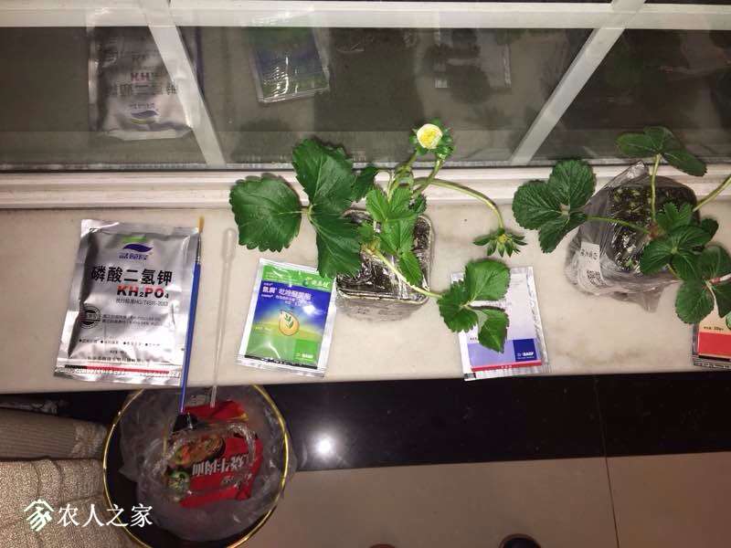 100529j69ltf93463lzt14.jpg