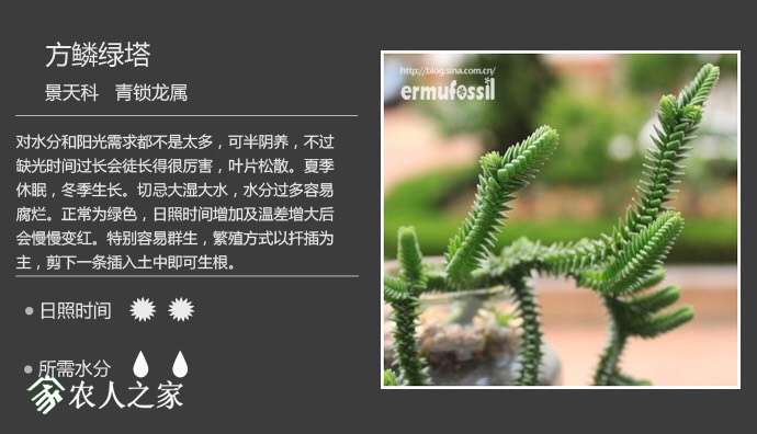 100210p8gmcdcvfkcczc1m.jpg