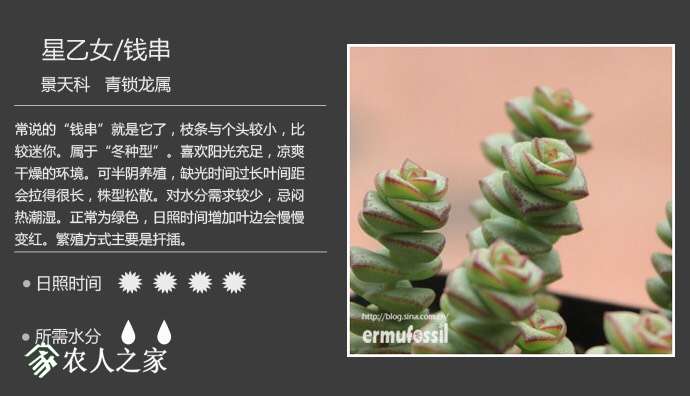 100334ksdqmhodseh19ss9.jpg