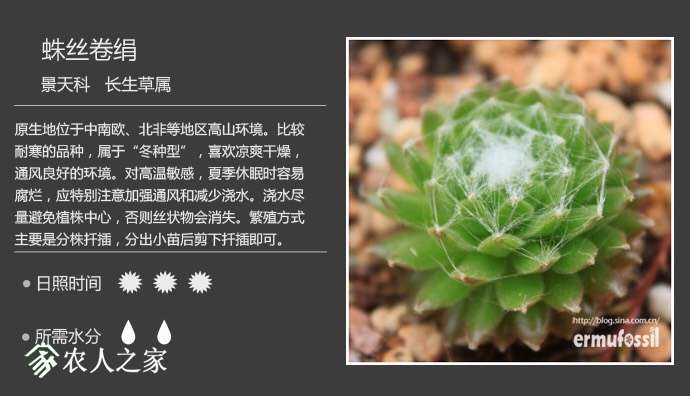 100348kbak2cokxa0fpp36.jpg