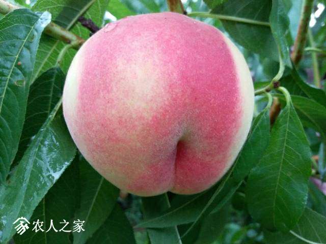124628cf5d8r0csq3tdd4a.jpg