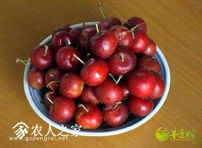 微信图片_2018012014365510.jpg