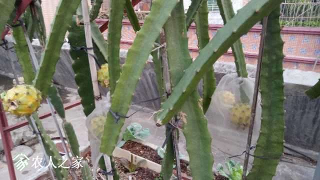 IMG20180122174331.jpg
