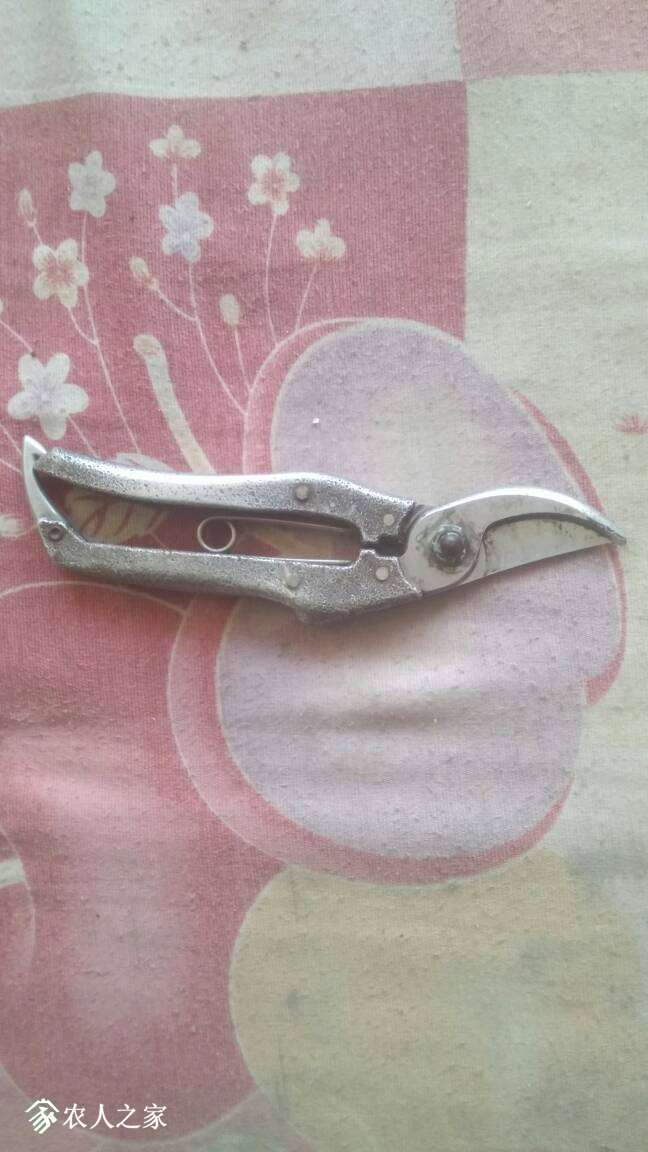 195710nkq5kz66hhz1t3rt.jpg