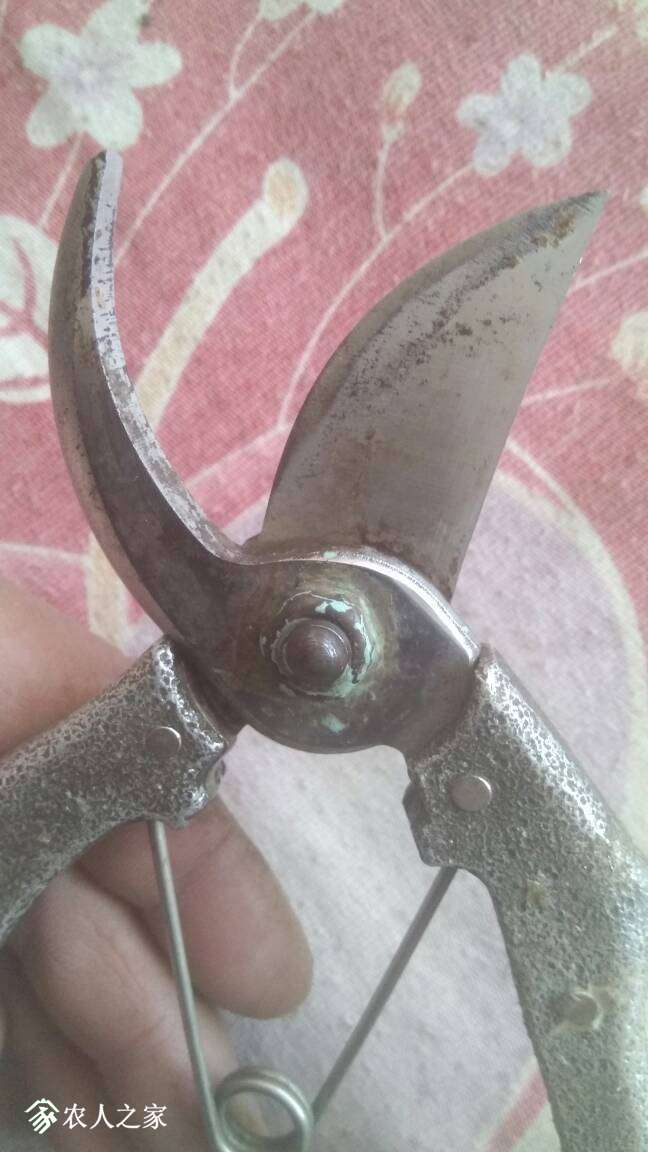 195711ezunwconnecakckc.jpg