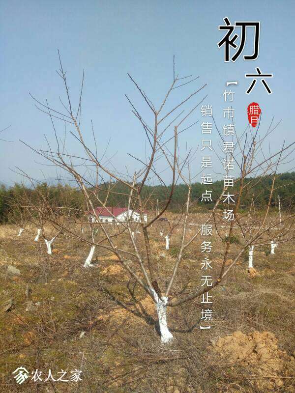 223830dx99w9s94dddd989.jpg