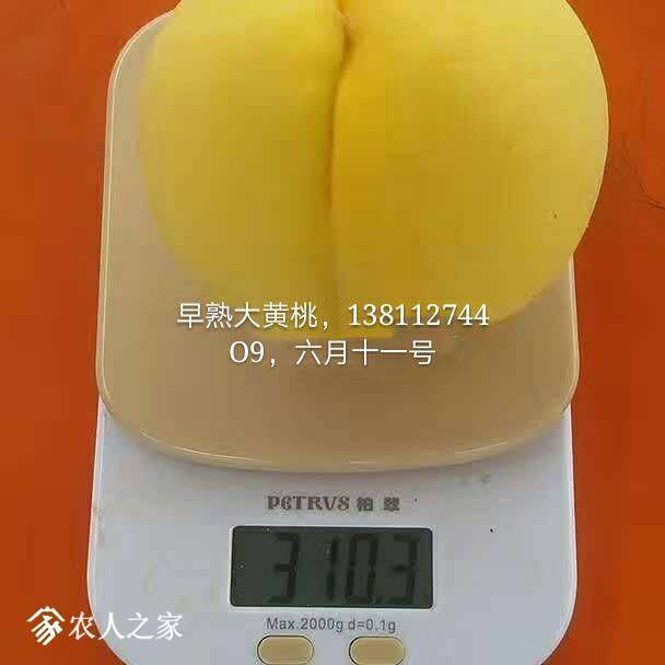 071440ngq010qq91qeyw6w.jpg