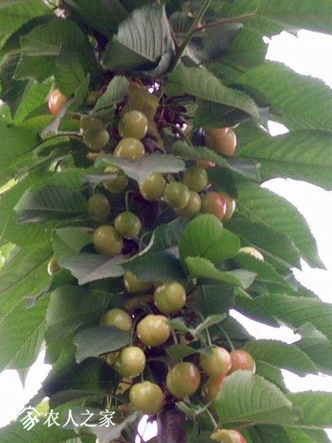 IMG20170509054202.jpg