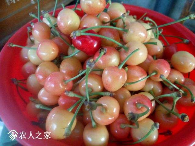 IMG20170515054256.jpg
